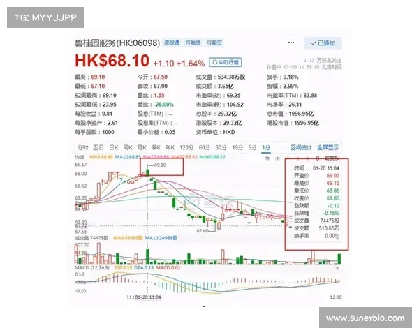 碧桂园被剔除恒生综合指数：房地产巨头的挑战与未来展望